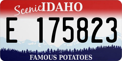 ID license plate E175823