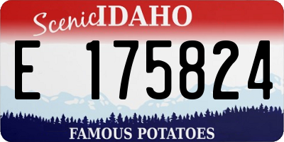 ID license plate E175824