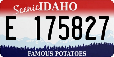 ID license plate E175827