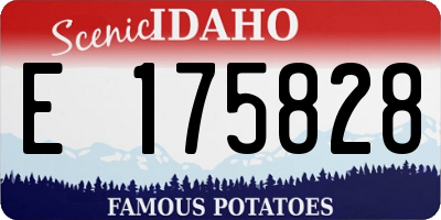 ID license plate E175828