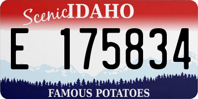 ID license plate E175834