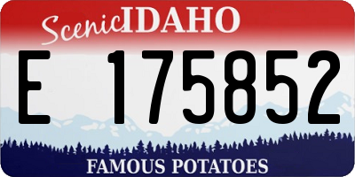 ID license plate E175852