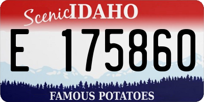 ID license plate E175860