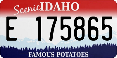 ID license plate E175865