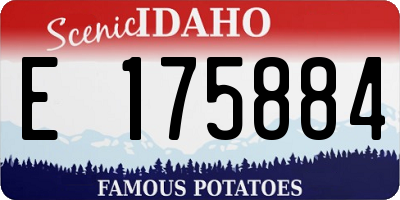 ID license plate E175884