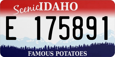 ID license plate E175891