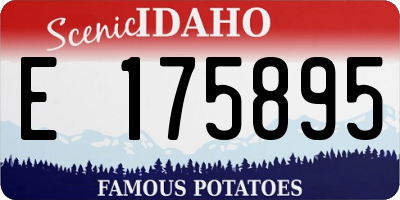 ID license plate E175895