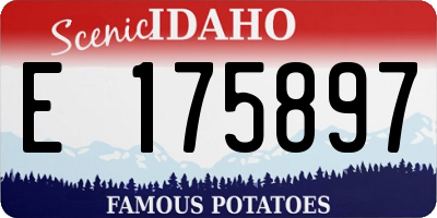 ID license plate E175897