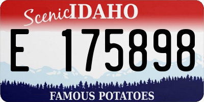ID license plate E175898