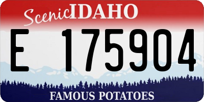 ID license plate E175904