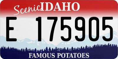 ID license plate E175905