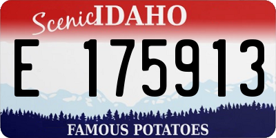 ID license plate E175913