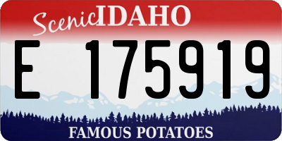 ID license plate E175919