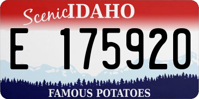 ID license plate E175920