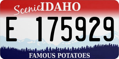 ID license plate E175929