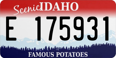 ID license plate E175931
