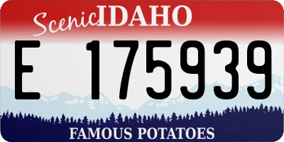 ID license plate E175939