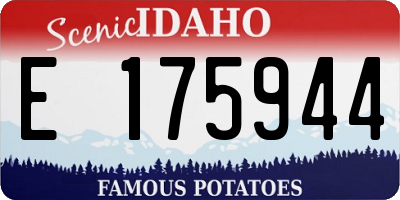 ID license plate E175944
