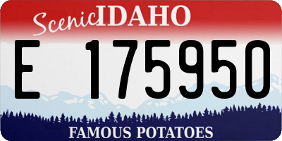 ID license plate E175950