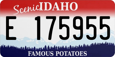 ID license plate E175955