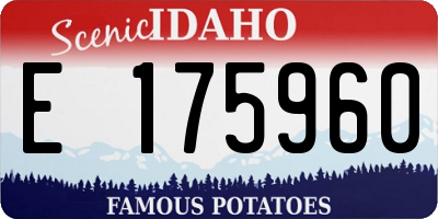 ID license plate E175960