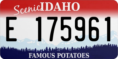 ID license plate E175961
