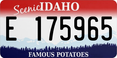 ID license plate E175965
