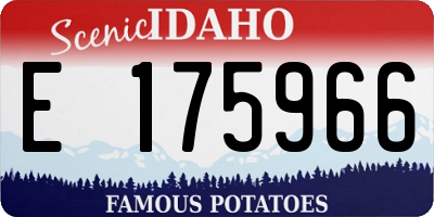 ID license plate E175966