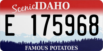 ID license plate E175968