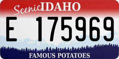 ID license plate E175969
