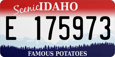 ID license plate E175973