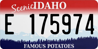 ID license plate E175974