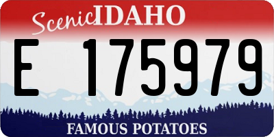 ID license plate E175979
