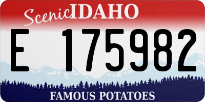 ID license plate E175982
