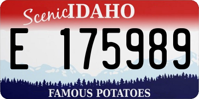 ID license plate E175989