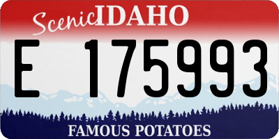 ID license plate E175993