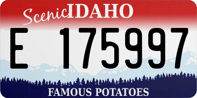 ID license plate E175997