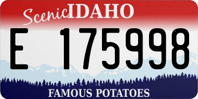 ID license plate E175998