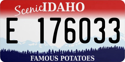 ID license plate E176033
