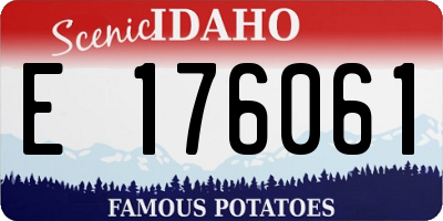 ID license plate E176061