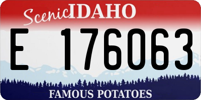 ID license plate E176063