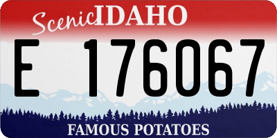 ID license plate E176067