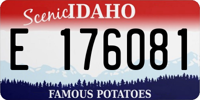 ID license plate E176081