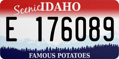 ID license plate E176089