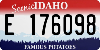 ID license plate E176098