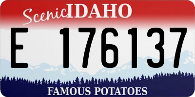 ID license plate E176137