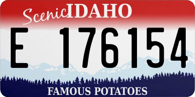 ID license plate E176154