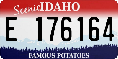 ID license plate E176164