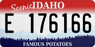 ID license plate E176166
