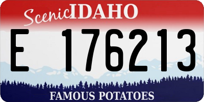ID license plate E176213